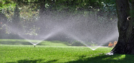 Irrigation Services